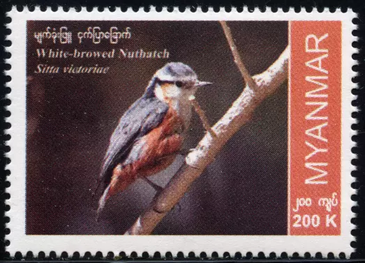 Myanmar Burma 2023 "Einheimische Vogelarten" Nuthatch Kleiber, MiNr neu