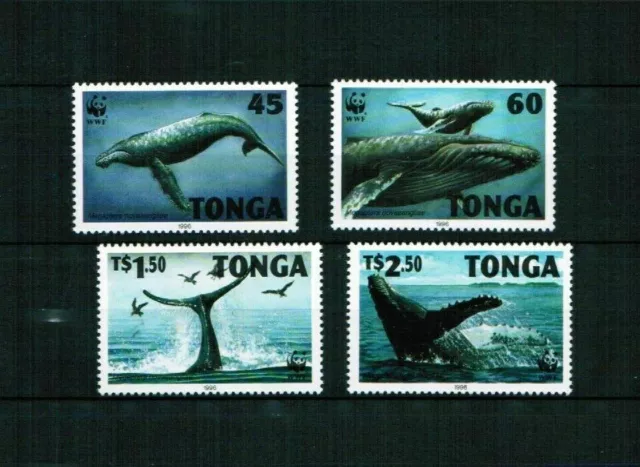 Tonga 1996 Minr 1400 - 1403 ** / mnh WWF Wal Buckelwal whale