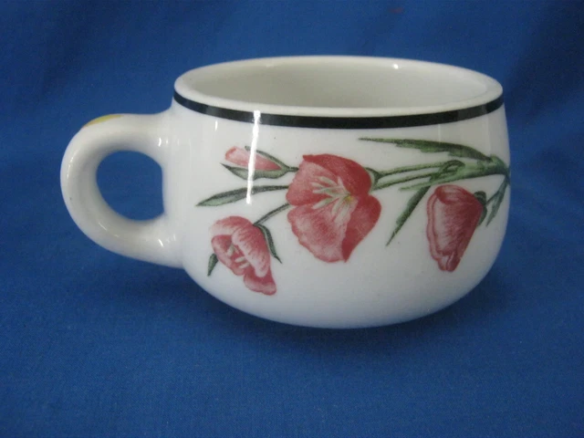 Southern Pacific Lines Prairie Mountain Wildflowers Railroad Cup Shenango VHTF 2