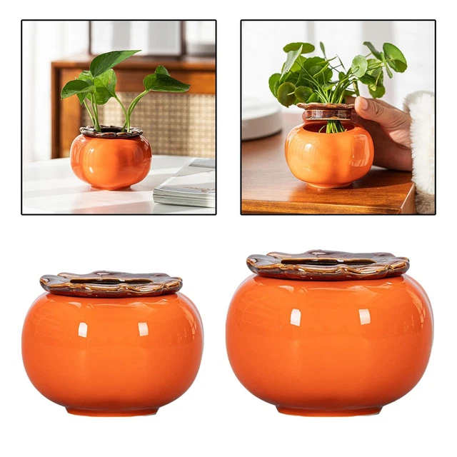 Vases Et Pots De Fleurs Déco - Terre Cuite Et Bois Naturel - Pour Cactus Et Plantes - Occasion