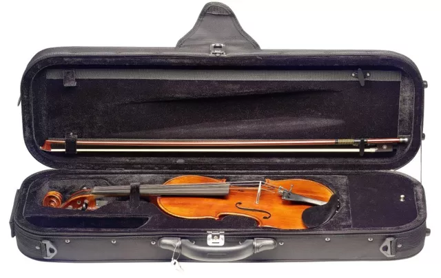 Stagg VN-3/4 HG 3/4 vollmassive Flamed Maple Violine im Deluxe Formkoffer