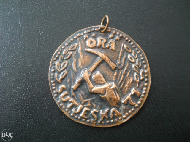Medal of Striker Youth Work Action (ORA) Yugoslavia Sutjeska year 1971