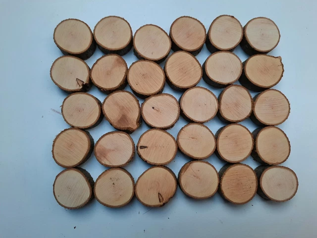30 Astscheiben Hart Holz basteln Baumscheiben - Floristik Deko Material