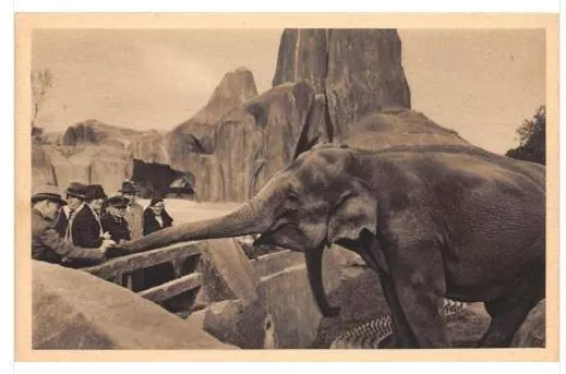 Cpa 94 Vincennes Wood Zoological Park Of Vinnes Elephant
