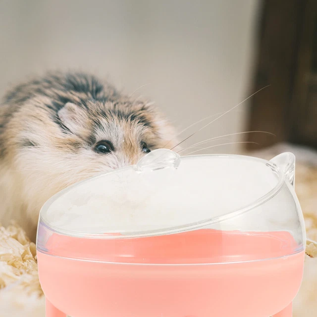 Contenitore bagno sabbia criceto criceto sabbia sabbia criceto piccolo animale vasca da bagno guinea