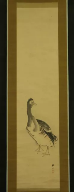 JAPANESE HANGING SCROLL ART Painting "Duck" Asian antique  #E5328