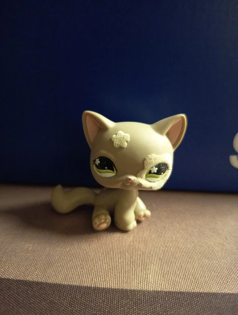 Petshop chat européen #1451 - Jeux & Jouets