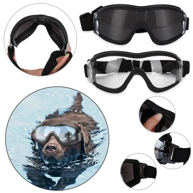 Foto per la cura oggetti di scena per cani occhiali da sole occhiali protezione occhi animali domestici