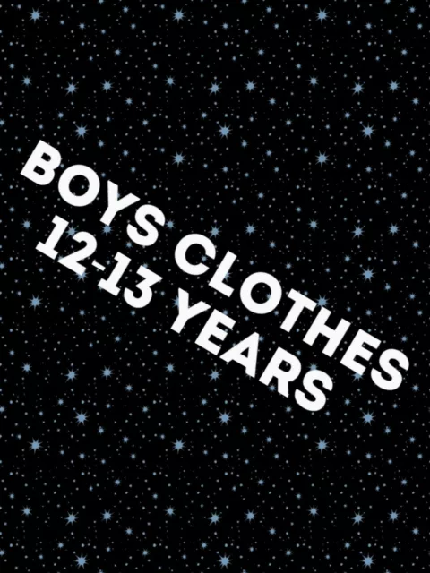 Boys Clothes Make Build Your Own Bundle Job Lot Size 12-13 years Jeans T-Shirt