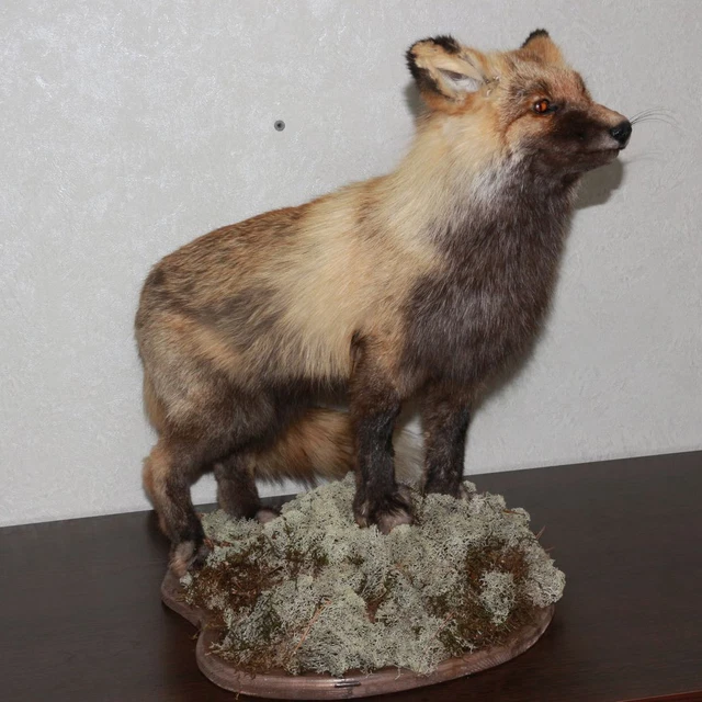 animal stuffed foxes for sale