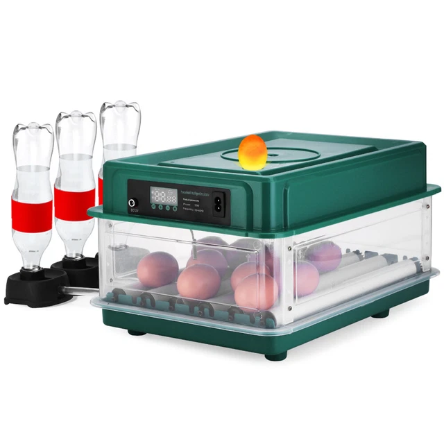 NEWFUN Brutautomat Vollautomatisch – 12-15 Eier, Mit Eierwender, Befeuchtung, Temperaturregelung, 12V/220V, Für Hühner-, Wachtel- & Enteneier