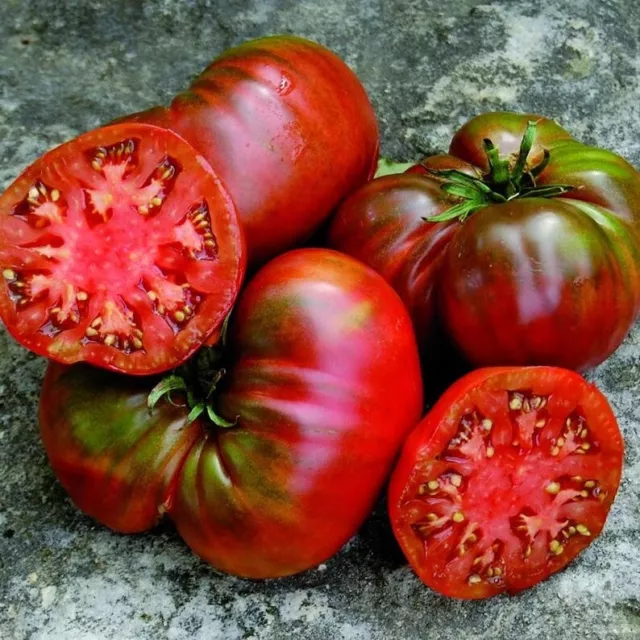 30 Graines de Tomate Noire de Russie, Tomato ’Black Russian’ seeds