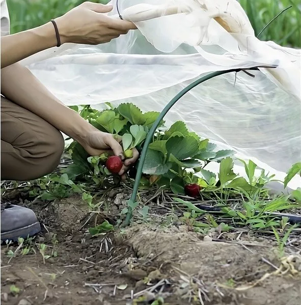 Toalla Anticongelante Para Semillas Y Plantas En Tela No Protección Varias