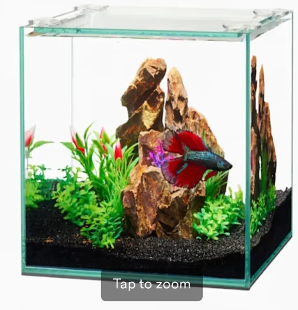 Aqueon Frameless Cube Aquarium, 1 Gallon