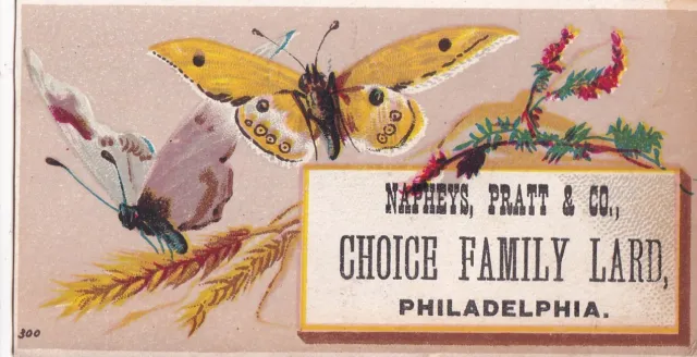 1800s Victorian Trade Card - Choice Family Lard -Butterfly -Selling Lot of Cards