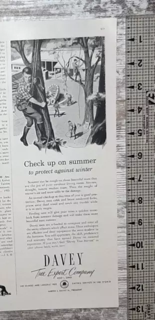 1955 Davey Tree Company Vintage Print Ad Expert Service Trimming Cutting Kent OH