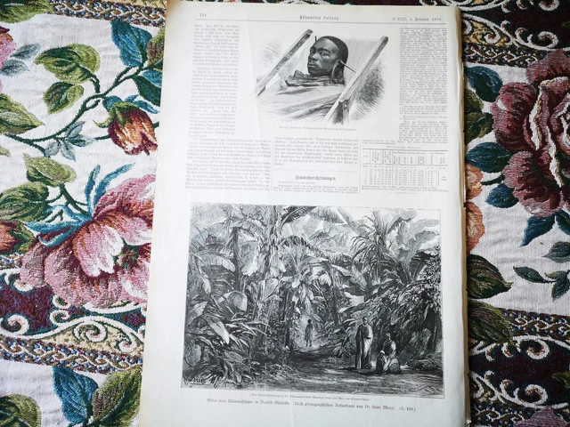 IZ Zeitungsdruck 1888 117 Kolonien Deutsch-Ostafrika