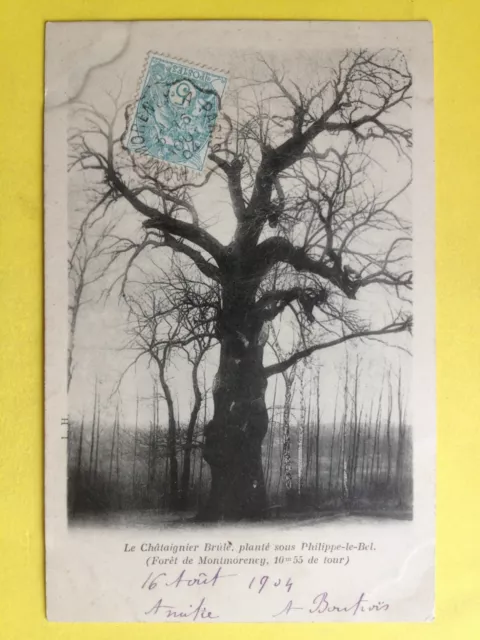 cpa 95 - FORÊT de MONTMORENCY Le Chataignier brulé Philippe Le Bel ARBRE TREE