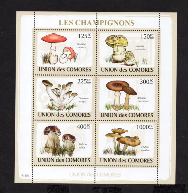 Comoros 2009 mini sheet of stamps Mi#2079-2084 MNH CV=13.2$