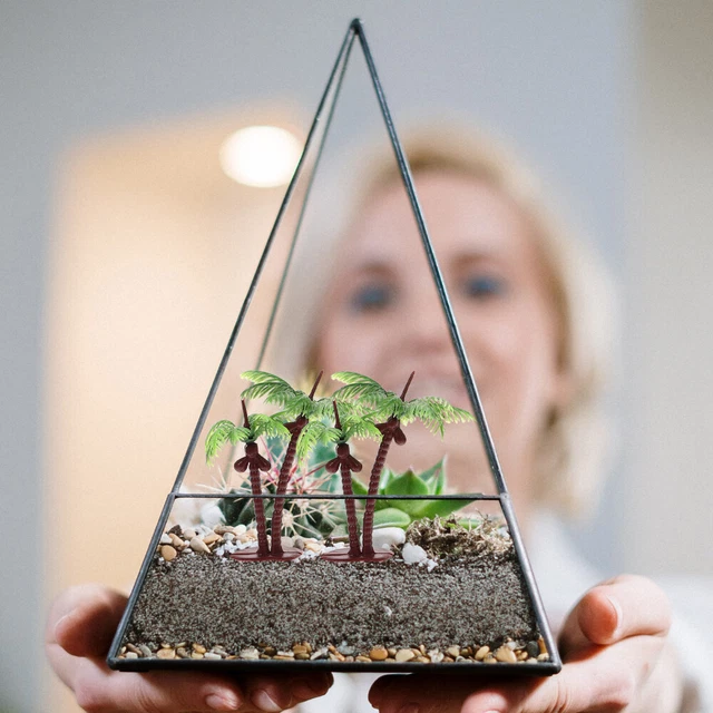 ARBRES MODÈLES EXQUIS Parfaits Pour Construire Des Modèles De Table De