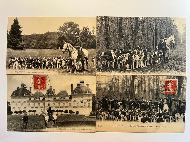 Fontainebleau - 77-90 F0NTAINEBLEAU chasse à courre en foret la meute