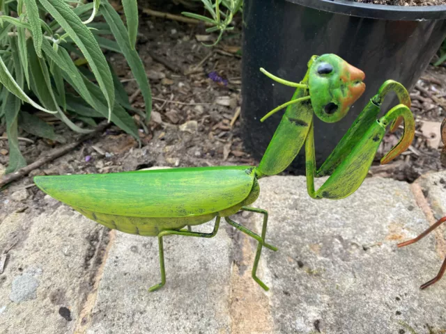 Green Rustic Metal Praying Mantis Garden Decor Australian Native