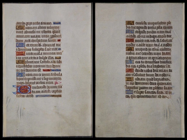 Illuminierte Grafia Su Pergamena Foglia Di Uno Miniatura Um 1500 (085)