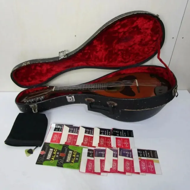 Suzuki Mandolin no.M-218 suzuki violin co. ltd no.M-218 with 12 strings / Case