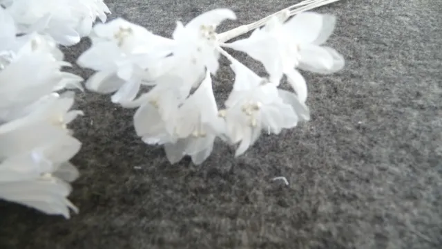NEU💐Traum in Weiß 3 Bund je 6 Zweige Blütenkelche mit Perlen Textil