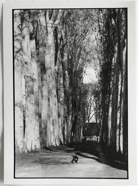 Versailles, allée des jardins Photographie originale noir blanc Loeber-Bottero