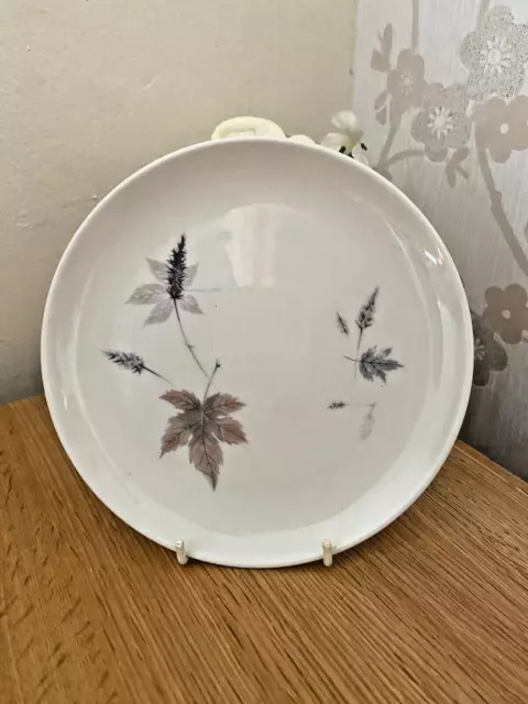 Royal Doulton Tumbling Leaves, (TC1004)  8.5" Salad Plates