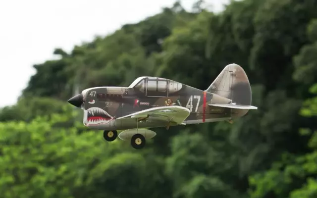 Pichler P-40 Flying Tigers / 320 MM / 15803