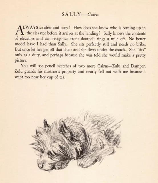 Vintage Lucy Dawson Cairn Terrier Print Wall Art Decor Illustration 4580p