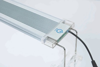 hepo led light