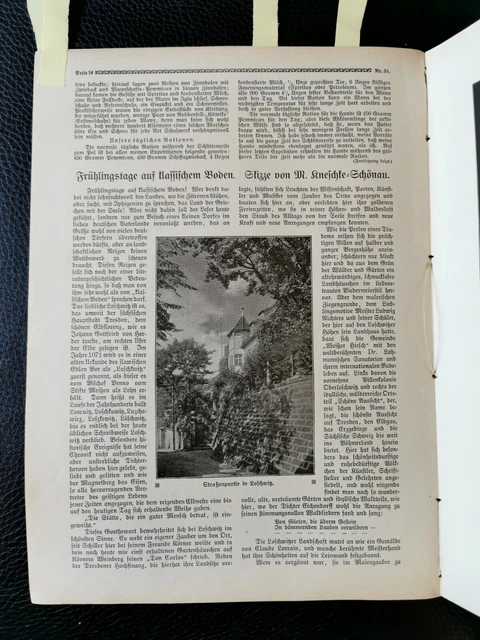 r70 daheim 1910 / Deutsche Kolonien in Chile / Loschwitz