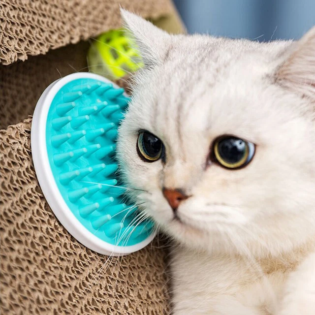 1PC Katze Selbst Groomer Pet Groomer Kamm Katze Pflege Kämme 9