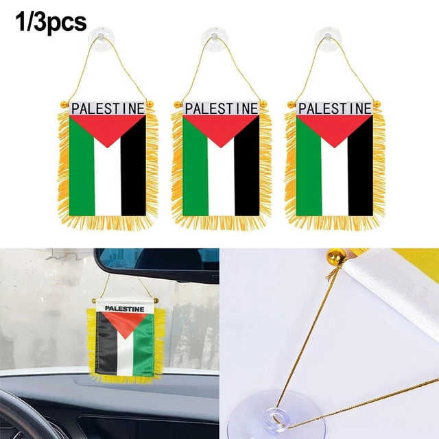 Israeli Policies Towards The Palestinians Mirror Regimes Of Apartheid In South A - Foto 6