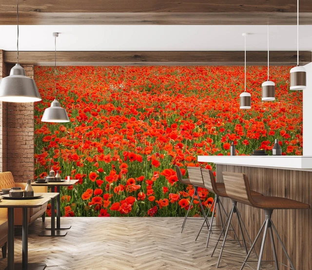 3D RED POPPY E444 Wallpaper Mural Paper Wall Print Indoor Murals CA ...