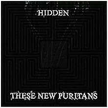 Hidden by These New Puritans | CD | condition very good