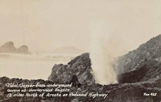 Arcata Ca~Hawleywood Heights-Tidal Geyser-Underground Cavern~Real Photo Postcard