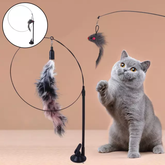 3x Funny Cat Stick Toys Pet Toy Teaser Rod pour Outil de Dressage de Chaton 3