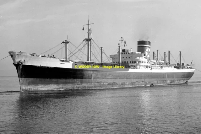 mc1729 - Blue Star Cargo Ship - Auckland Star , built 1958 - photograph 6x4