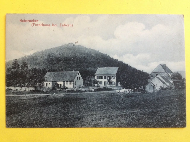 SAVERNE ZABERN Alsace Bas Rhin CPA 67 Hauptstrasse la grande rue la