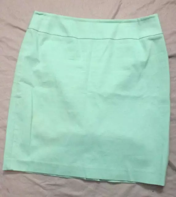 Women Size 8 Christin Michaels Light Green Skirt Lined Back Zipper