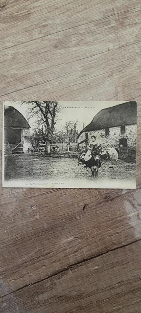 Carte Postale Ancienne Attelage D Âne En Normandie