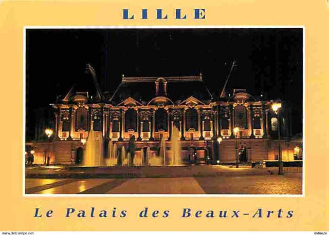 59 - LILLE - Le Palais des Beaux Arts - Vue de Nuit - CPM - Voir Scans