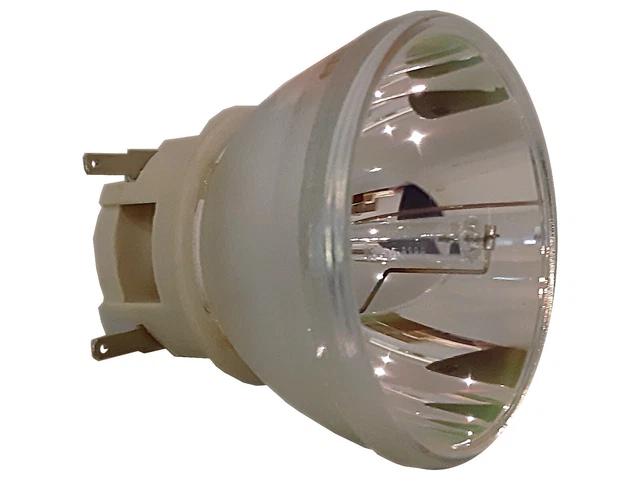 PHILIPS lampadina del proiettore UHP 240-170W 0.8 E20.7
