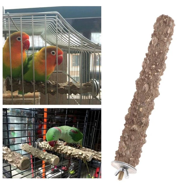 Fresh Look at Parrot Bird Wooden Stand Holder Paw Grinding Perches Chew Pet
