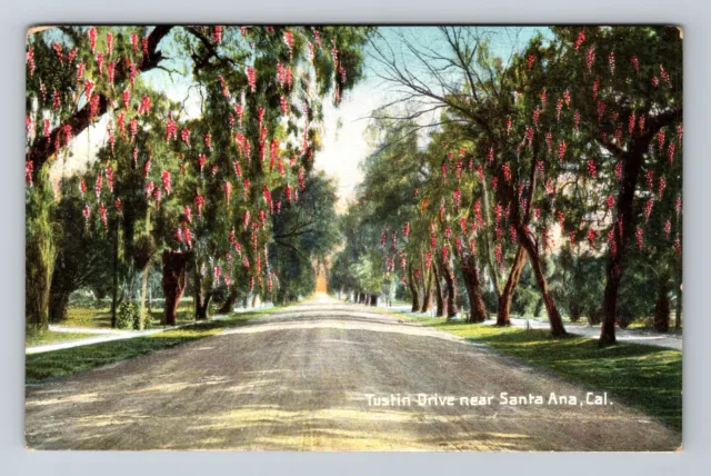 Santa Ana CA- California, Tustin Drive, Scenic Outside View, Vintage Postcard