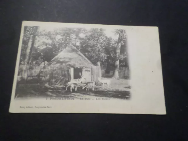 CPA Pougues Les Waters, Park, Animals, the Deer, French Version Postcard